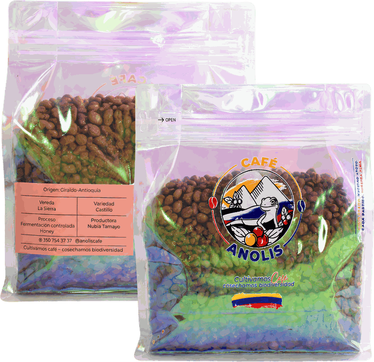 Anolis Café — Castillo Honey · Grano verde