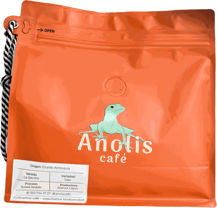 Anolis Café — Tabi Lavado