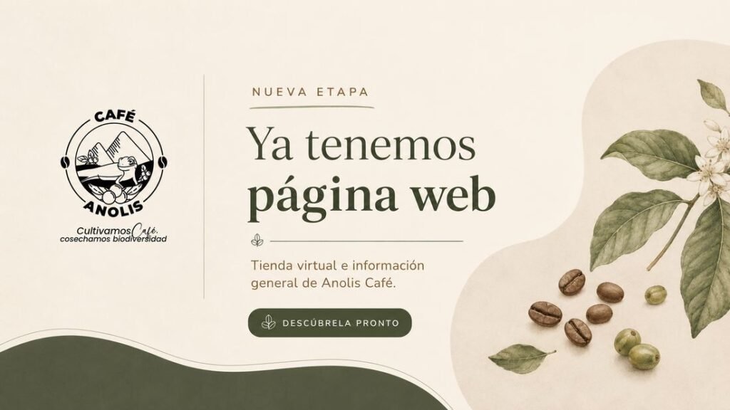 Ya tenemos página web